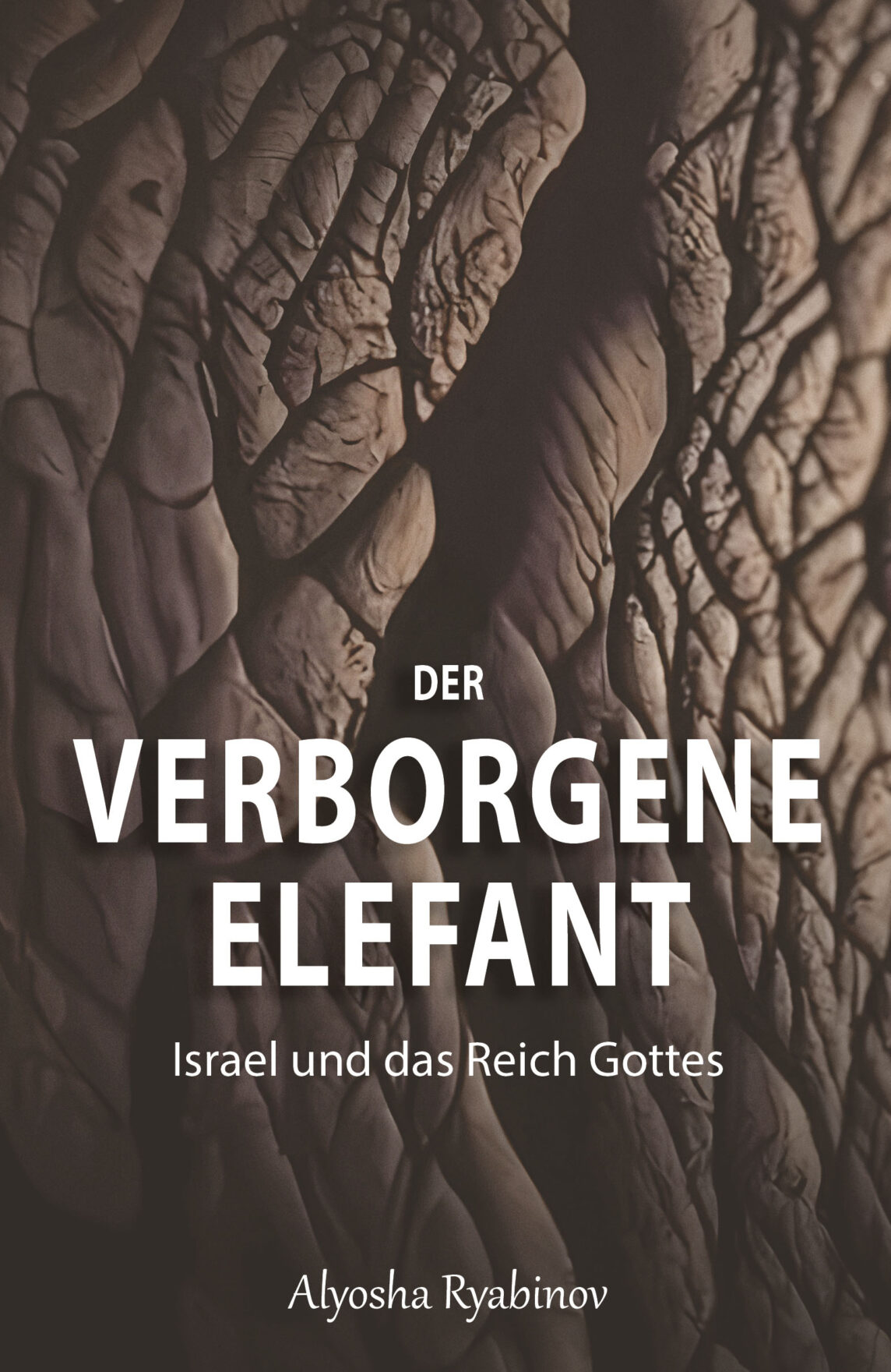 Ryabinov_Der verborgene Elefant_FrontCover
