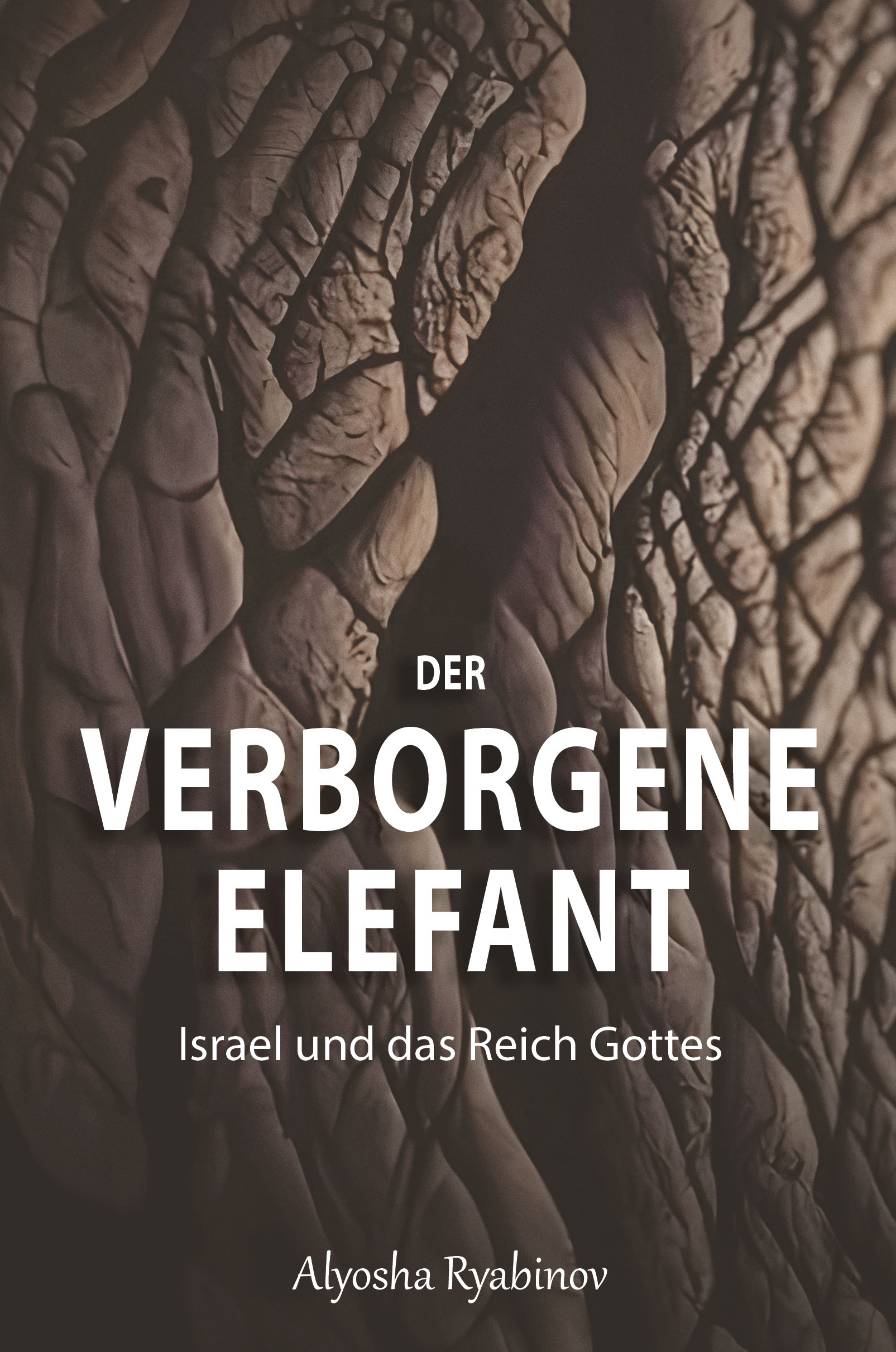 Ryabinov_Der verborgene Elefant_FrontCover